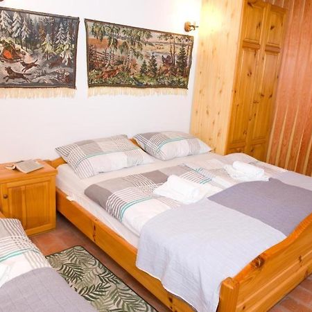 Planinca -Hisa Z Razgledom Lägenhet Smarje pri Jelsah Exteriör bild