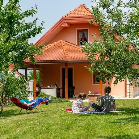 Planinca -Hisa Z Razgledom Lägenhet Smarje pri Jelsah Exteriör bild