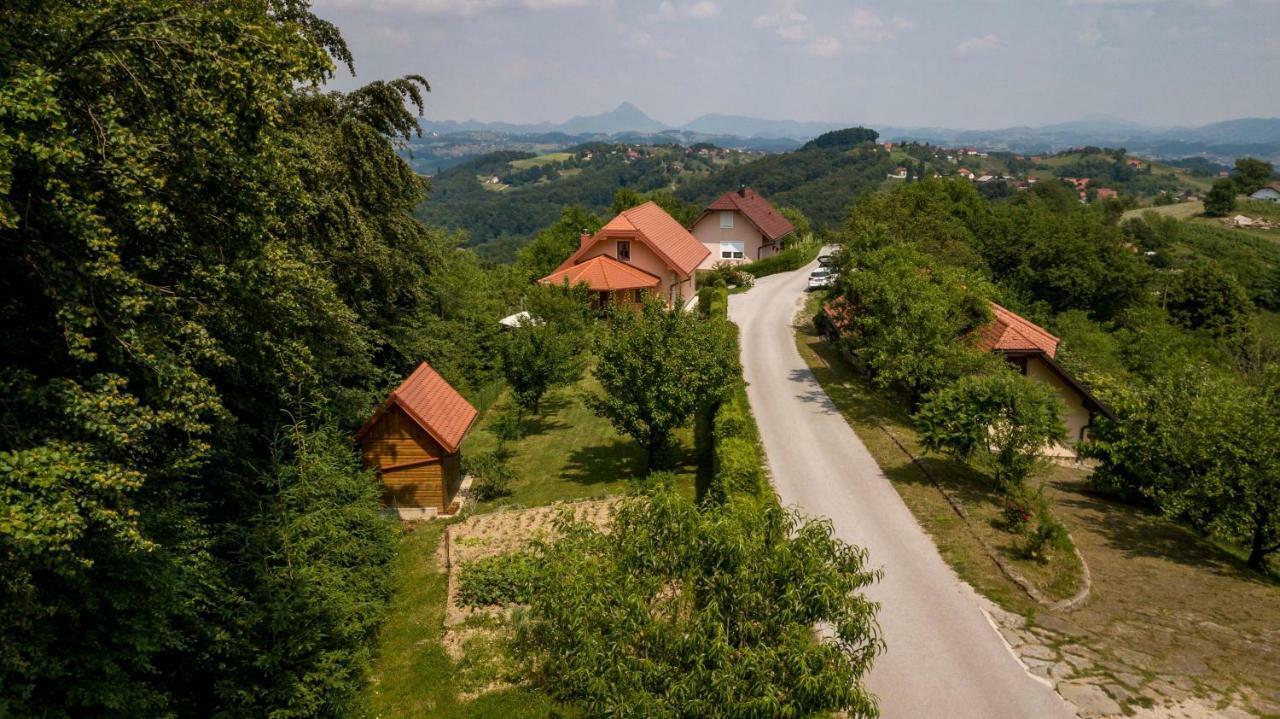 Planinca -Hisa Z Razgledom Lägenhet Smarje pri Jelsah Exteriör bild