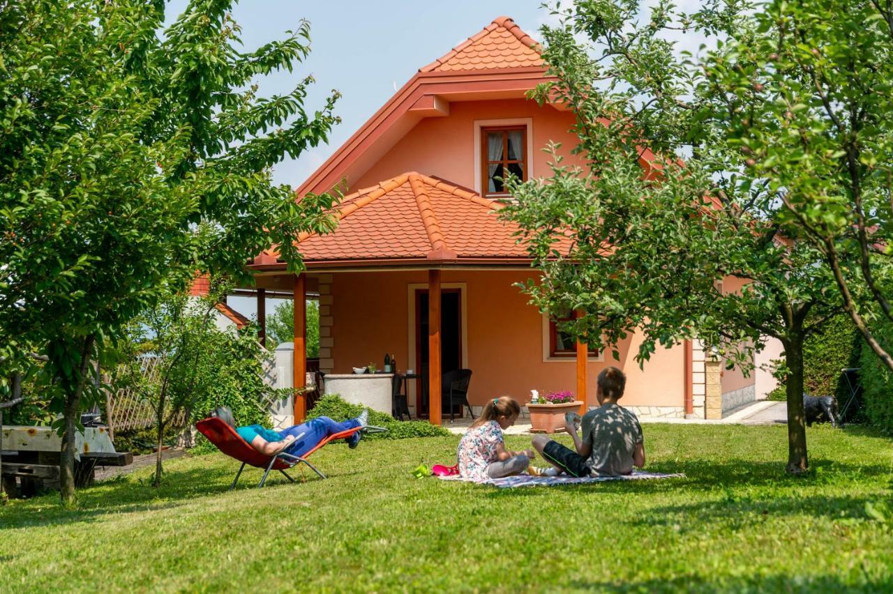 Planinca -Hisa Z Razgledom Lägenhet Smarje pri Jelsah Exteriör bild