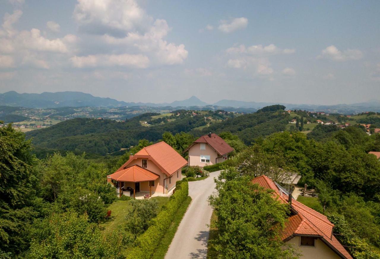Planinca -Hisa Z Razgledom Lägenhet Smarje pri Jelsah Exteriör bild